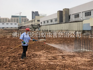 范湖基础白蚁预防工程