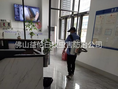 三水区下水道灭蚊虫工程