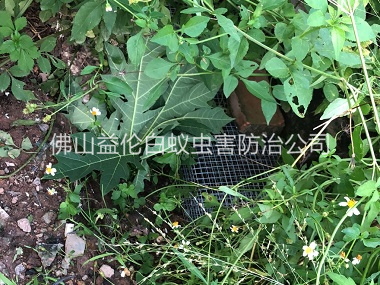 里水住宅区处理蛇患工程