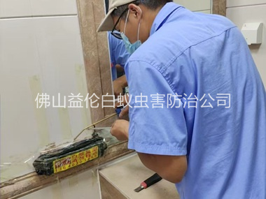 大塘诱杀箱施药灭杀白蚁工程
