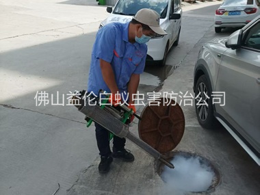 白坭下水道灭杀蚊虫、蟑螂工程